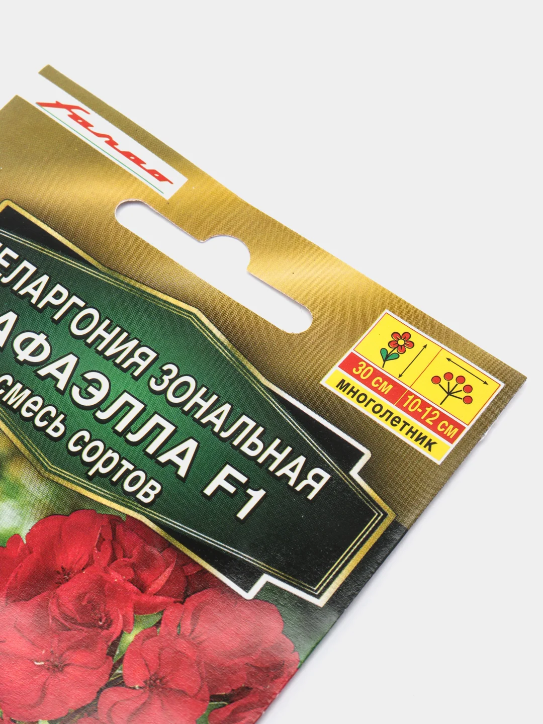 Пеларгония Рафаэлла (семена,цветы)
