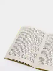 Советы пчеловоду-любителю