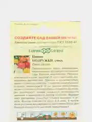 Семена Цинния "Подружки"