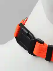 Оранжевый ошейник для собак