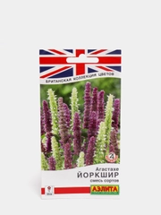 Агастахе Йоркшир (семена,цветы)
