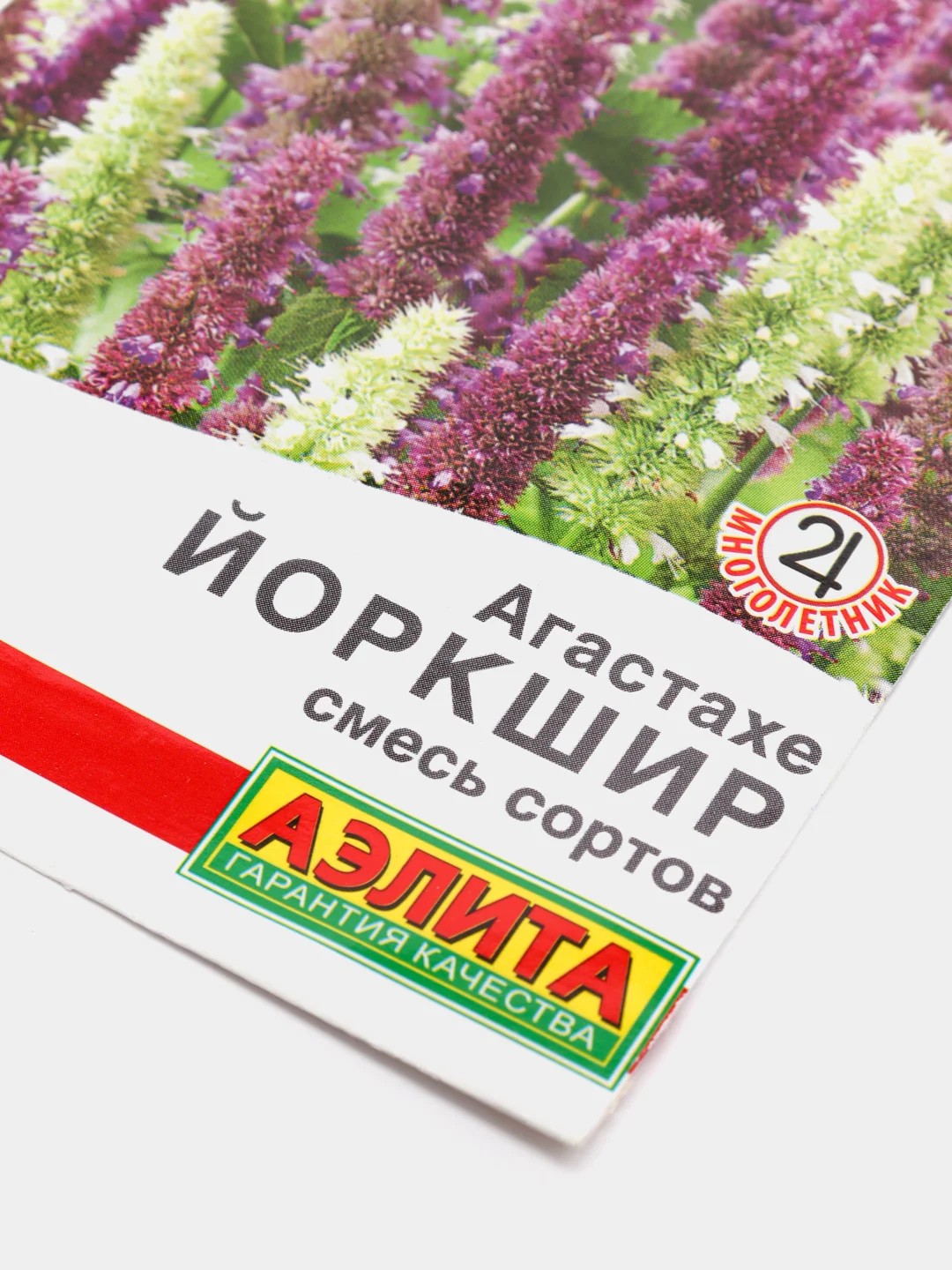 Агастахе Йоркшир (семена,цветы)