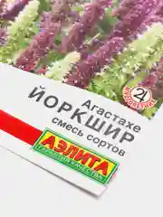Агастахе Йоркшир (семена,цветы)