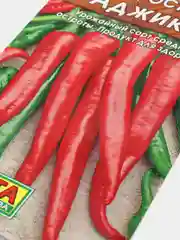 Перец Аджика острый (семена)