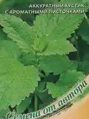 Мята карамелька (семена)