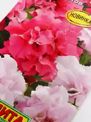 Петуния Махровый сюрприз (семена, цветы)