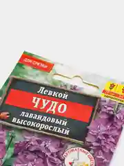 Левкой "Чудо лавандовый высокорослый", семена