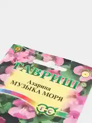 Семена цветы "Азарина Музыка моря"