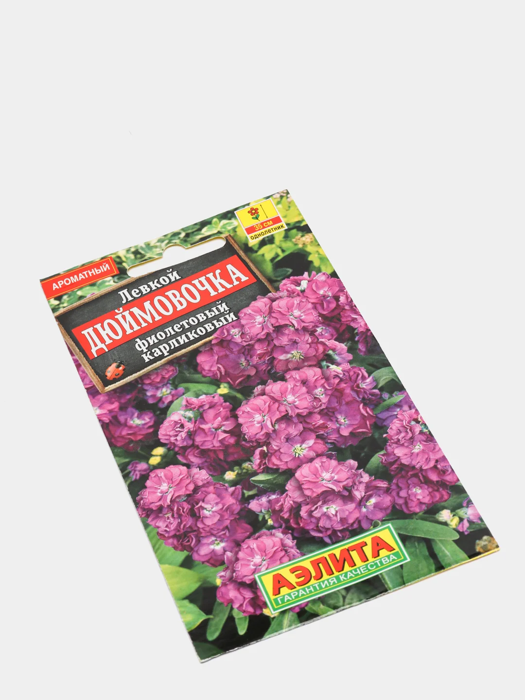 Семена цветов Левкой "Дюймовочка", фиолетовый, карликовый
