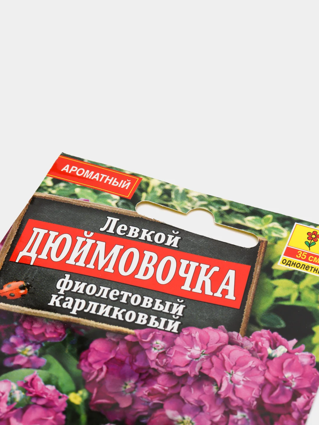 Семена цветов Левкой "Дюймовочка", фиолетовый, карликовый