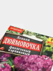 Семена цветов Левкой "Дюймовочка", фиолетовый, карликовый
