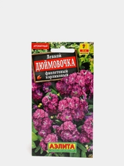 Семена цветов Левкой "Дюймовочка", фиолетовый, карликовый