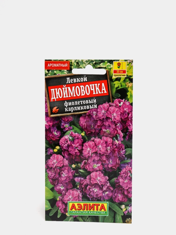 Семена цветов Левкой "Дюймовочка", фиолетовый, карликовый