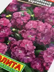 Семена цветов Левкой "Дюймовочка", фиолетовый, карликовый