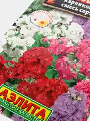 Левкой "Дюймовочка карликовый", семена
