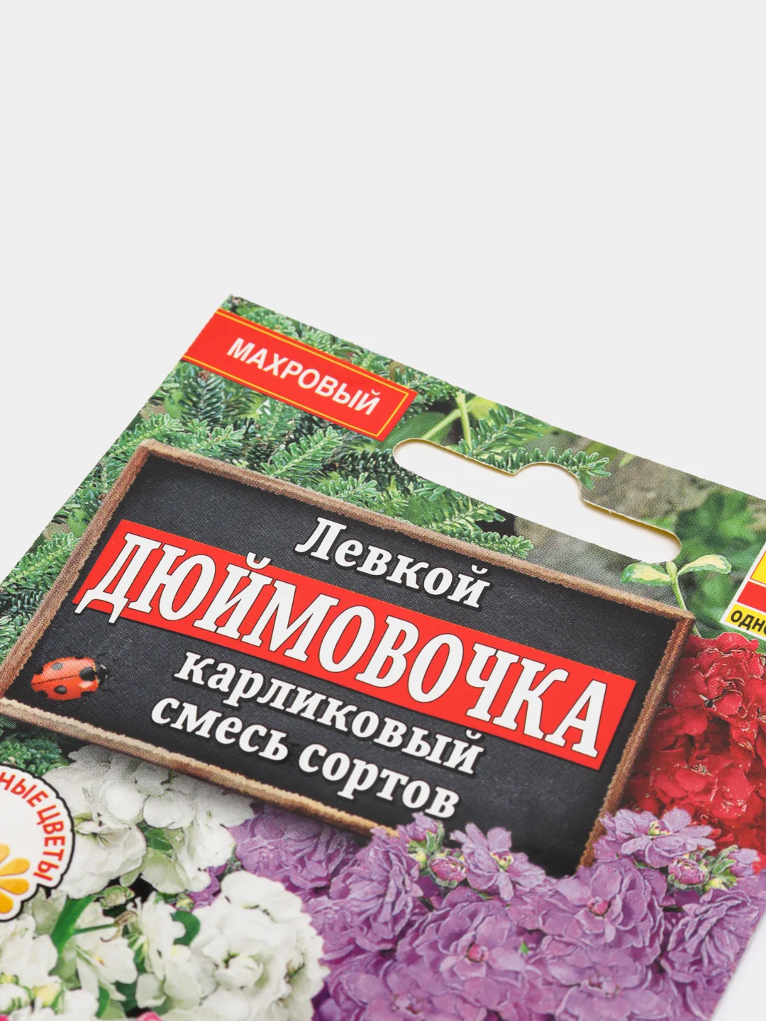 Левкой "Дюймовочка карликовый", семена