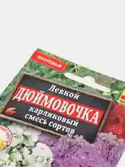 Левкой "Дюймовочка карликовый", семена