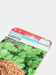 Семена кориандр "Санто"