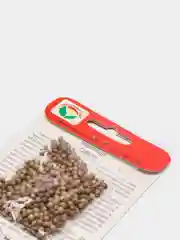 Семена кориандр "Санто"