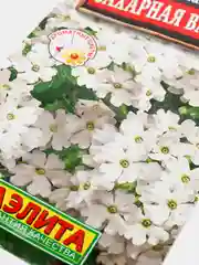 Вербена "Сахарная вата", семена