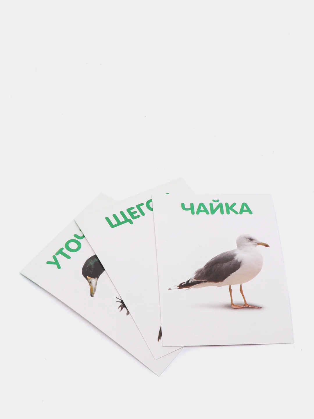 Серебряный обучающие книжки в игровой форме
