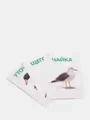 Серебряный обучающие книжки в игровой форме