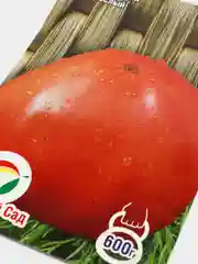 Семена "Томат Сахарный бизон"