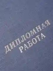 Папка для дипломных работ "Дипломная работа", цвет синий