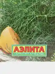 Укроп "Супердукат", семена