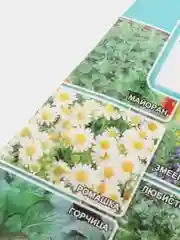 Лекарственный сбор Болеутоляющий (семена)