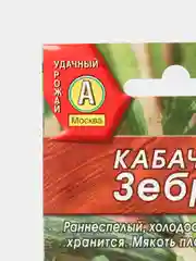 Кабачок цуккини "Зебра"