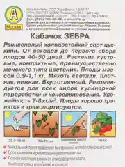 Кабачок цуккини "Зебра"