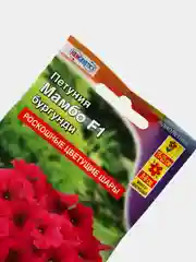 Петуния Мамбо бургунди (семена,цветы)