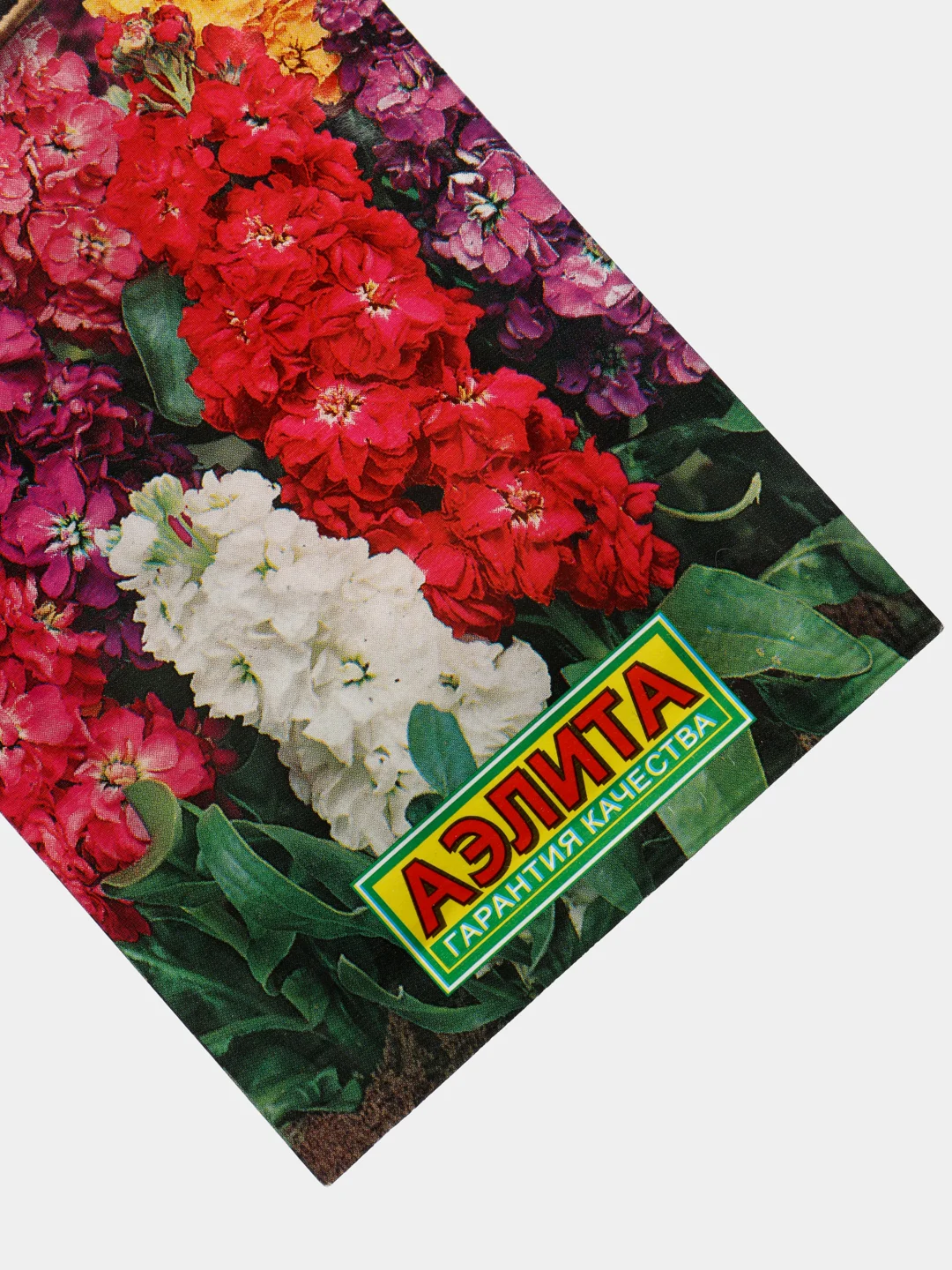 Маттиола Букетная (семена,цветы)