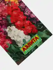 Маттиола Букетная (семена,цветы)