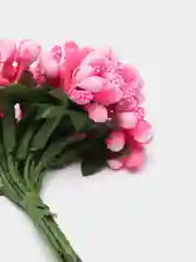 Тёмно-розовый тычинки с сахарными вставками. 12 штук