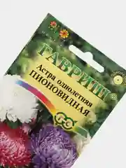 Астра Пионовидная, семена, цветы