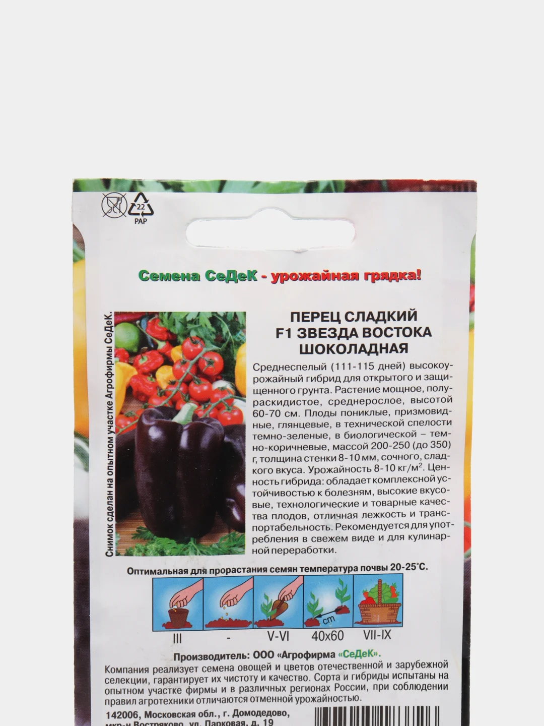 Перец Звезда востока шоколадная (семена)