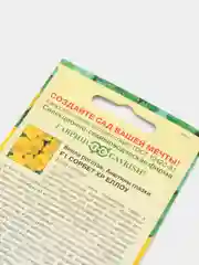 Виола Сорбет Еллоу (семена,цветы)