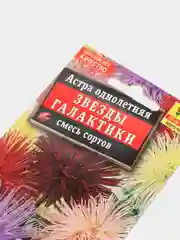 Астра Звезды галактики, семена, цветы