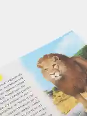 Зеленый книжка для детей "Узнаём про всё вокруг"
