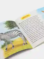 Зеленый книжка для детей "Узнаём про всё вокруг"