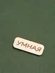 Значок на одежду "Умная", пин на булавке деревянный, брошь женская, значки на рюкзак