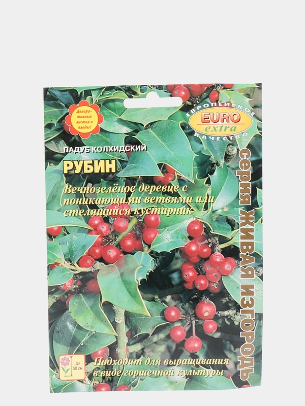 Семена цветов, падуб "Рубин"