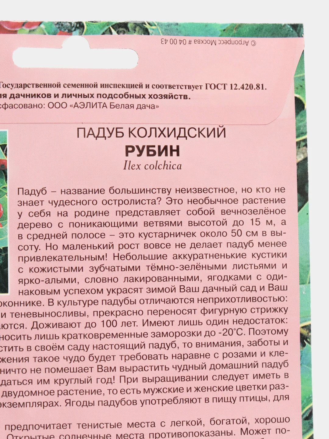 Семена цветов, падуб "Рубин"