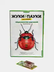 Познавательный журнал Жуки и Пауки "Пёцилокорис широкий", выпуск №2