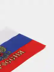 Флаг России с гербом и флагштоком