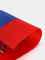 Флаг России с гербом и флагштоком