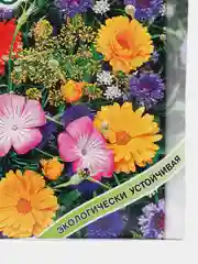 Газон Городские цветы (семена)