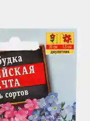 Семена цветы "Незабудка Альпийская мечта"